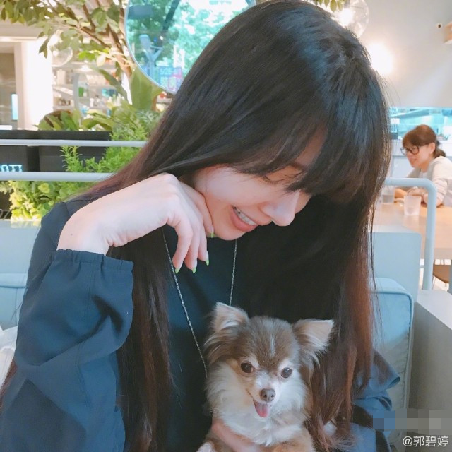 郭碧婷|向太假装用郭碧婷账号官宣怀孕，被郭碧婷粉丝骂惨：毫无底线向家人