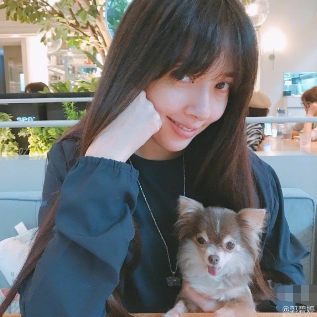 郭碧婷|向太假装用郭碧婷账号官宣怀孕，被郭碧婷粉丝骂惨：毫无底线向家人