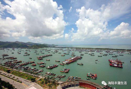 避风港渔港,来看看"它"的美!