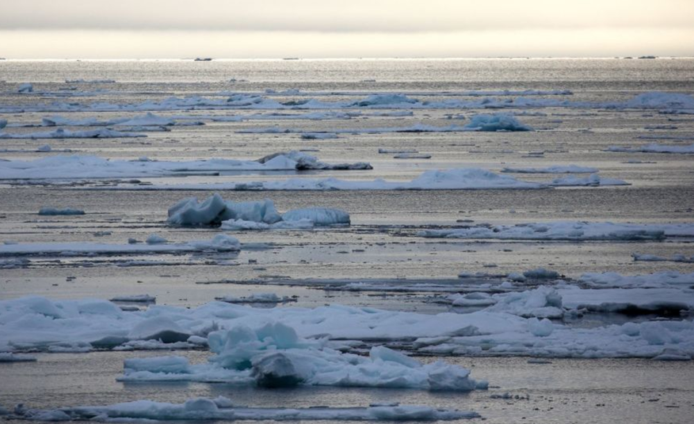 科学家|科学家警告！地球第“五大洋”可能在形成，已出现约56公里长裂缝