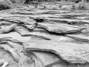 化石|20亿年前化石诉说石家庄沧桑巨变