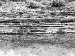 化石|20亿年前化石诉说石家庄沧桑巨变