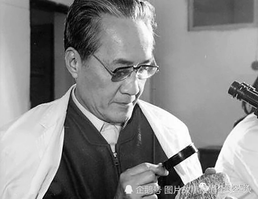 桂林理工大学大排名_桂林理工大学2019年毕业生:就业率高达96