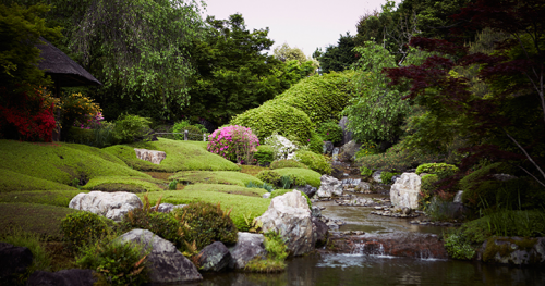 来到这里选购纪念这次访问的纪念品是必不可少的,包括有与国宝"瓢鲇图