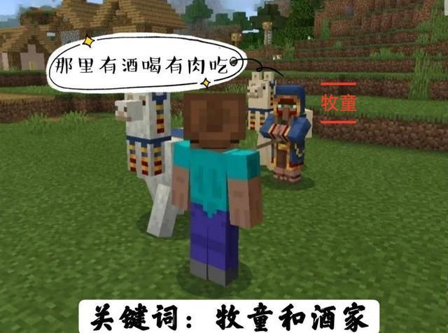 Mc村民蛋 我的世界村民蛋代码 我的世界村民蛋指令 我的世界村民蛋