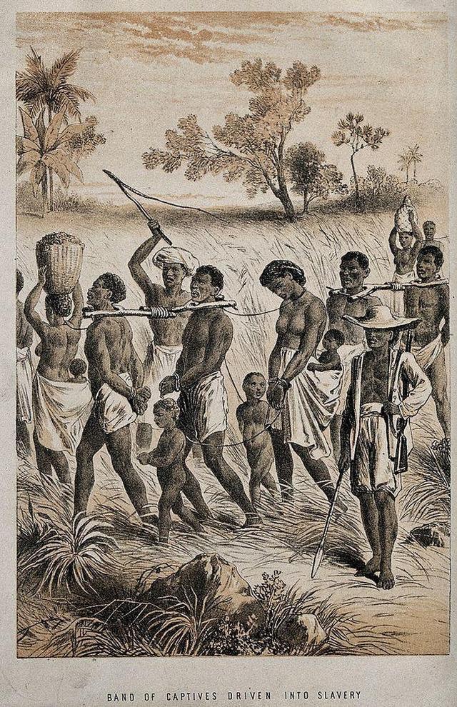 贸易的真相,奴隶船上黑人悲惨生活|大西洋|奴隶|非洲_历史|奴隶贸易