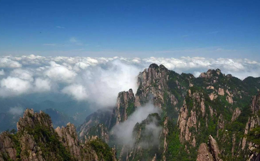 苏轼|著名学者点评苏轼的“春江水暖鸭先知”：只有鸭知，鹅就不知吗？