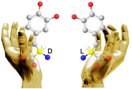 一些药物的化学结构就像人的左右手,分别是左旋体,右旋体.