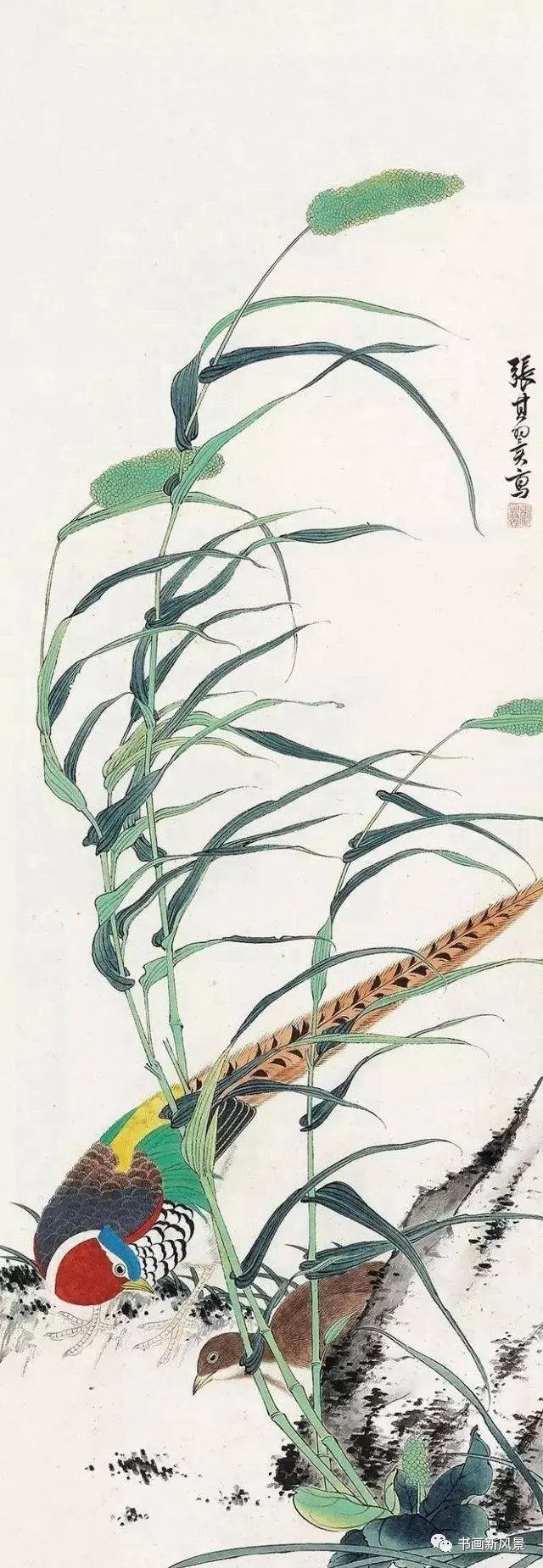 张其翼|都说他的花鸟，通灵入神，果不其然！