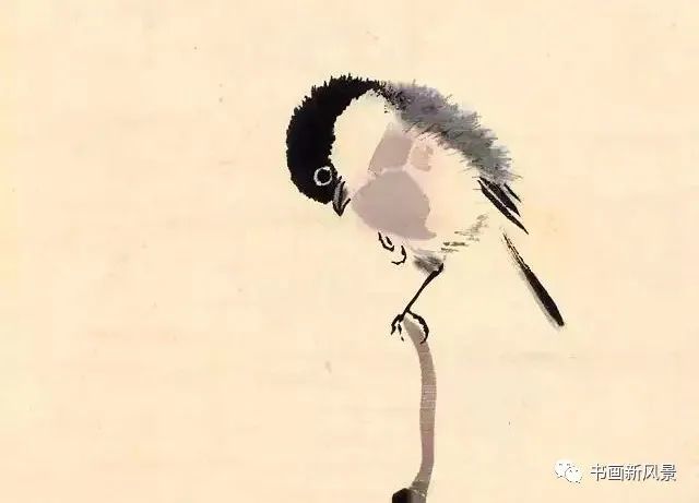 张其翼|都说他的花鸟，通灵入神，果不其然！