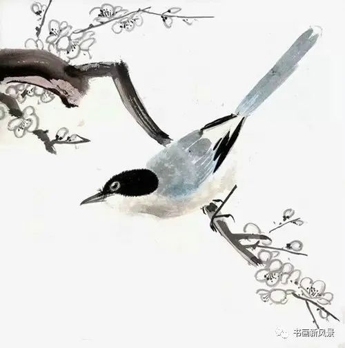 张其翼|都说他的花鸟，通灵入神，果不其然！