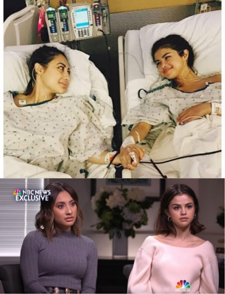 友谊|你看错姐姐了，我们乘风破浪从不靠撕：别再对女性友谊抱有偏见