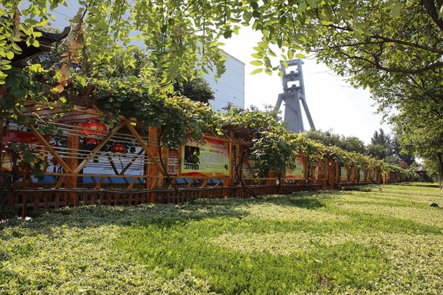 让矿山有颜值有气质王楼煤矿实招硬招有担当