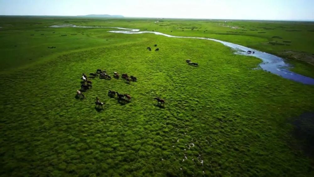 乌珠穆沁草原|东乌珠穆沁：金斯太遗址探源草原文明，商贸口岸客商云集