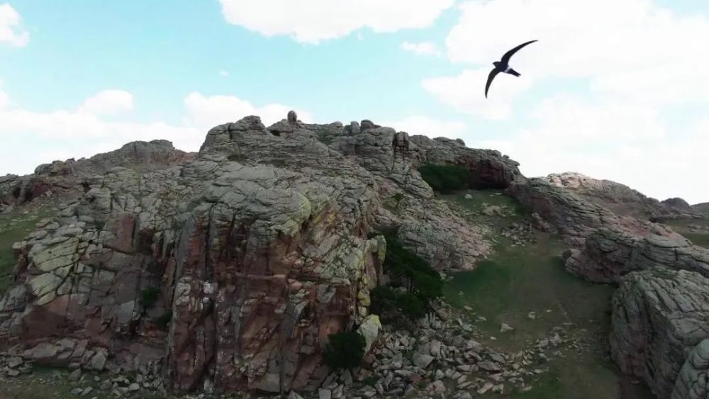 乌珠穆沁草原|东乌珠穆沁：金斯太遗址探源草原文明，商贸口岸客商云集