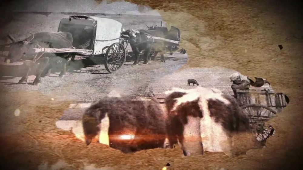 乌珠穆沁草原|东乌珠穆沁：金斯太遗址探源草原文明，商贸口岸客商云集