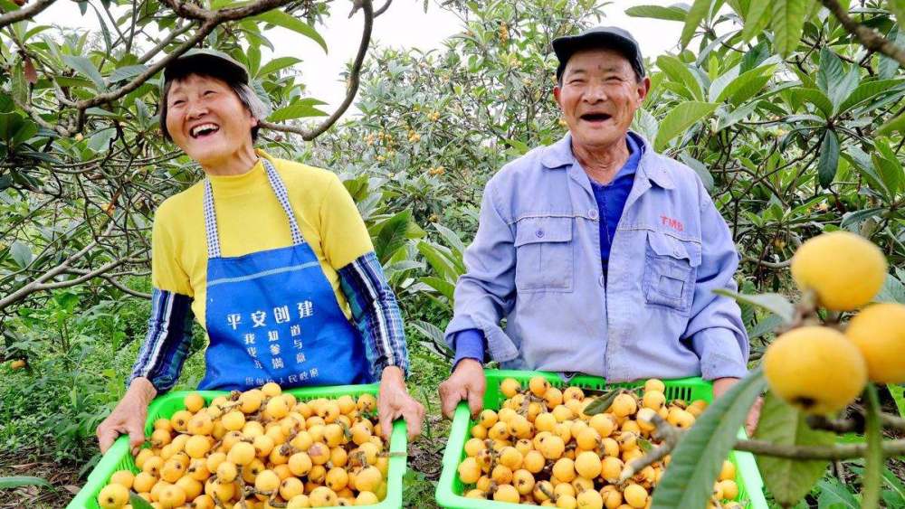 金庸|他是金庸的同学，曾救过金庸一命，出版专著要倒贴钱