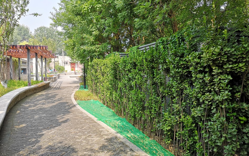 北京|探头路牌路灯共用一杆 北京今年重点改造20多条道路