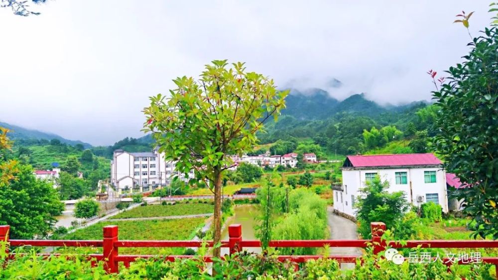 黄梅戏|黄梅一曲向朝阳——黄梅戏与老鸭村的故事