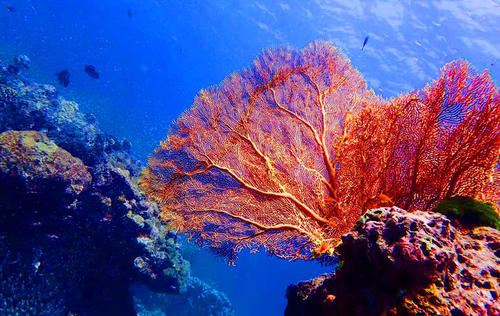 曾母暗沙,中国版图的最南边!美景美食还实惠!