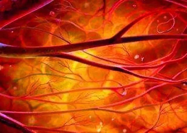 青筋|手上青筋凸起是一种病，说明身体差？它到底意味着什么？