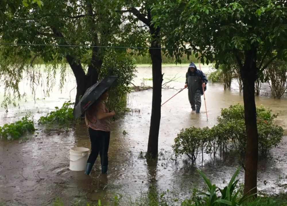 暴雨|雨带北抬？明起新一轮强降雨下这儿……
