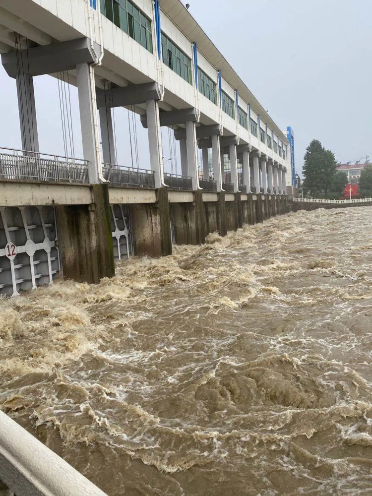 暴雨|雨带北抬？明起新一轮强降雨下这儿……