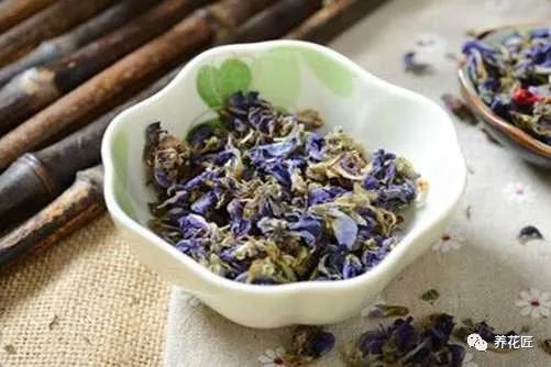葛花茶什么人不能喝 喝葛花茶居然有这样的功效 葛花茶 体质 低血压