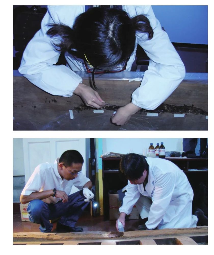 彩绘|吐尔基山辽墓出土彩绘木棺及棺床的保护修复