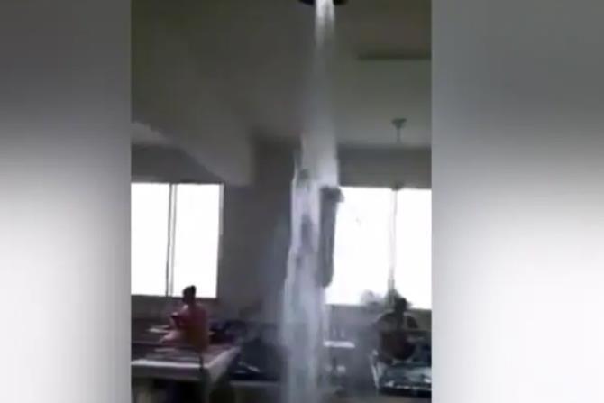 定点医院|印度新冠肺炎定点医院现状：黑猪四处乱窜 天花板大漏水