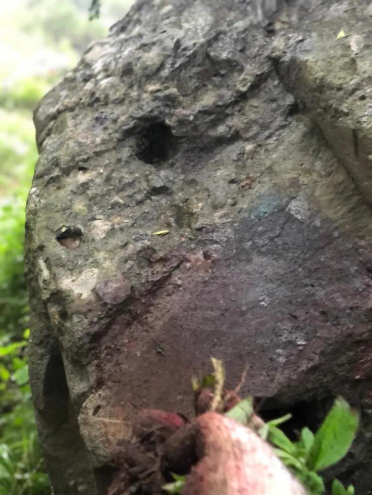 石头|景区石头上喷红漆做路标，北京一越野跑引网友怒怼！组织方道歉