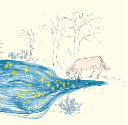 林徽因|林徽因：山中有一个夏夜，深得像没有底一样