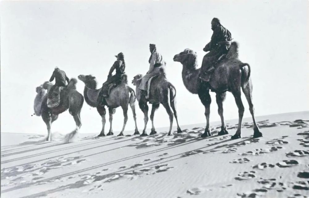 斯文·赫定|古楼兰发现者的中国历险记——瑞典探险家斯文·赫定