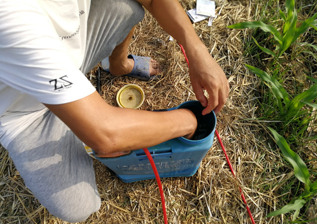 芸苔素|庄稼喷洒芸苔素，无论什么作物，5点禁忌要注意，效果才会好