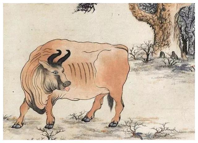 老子西出函谷关的坐骑为什么是青牛这里面有大学问