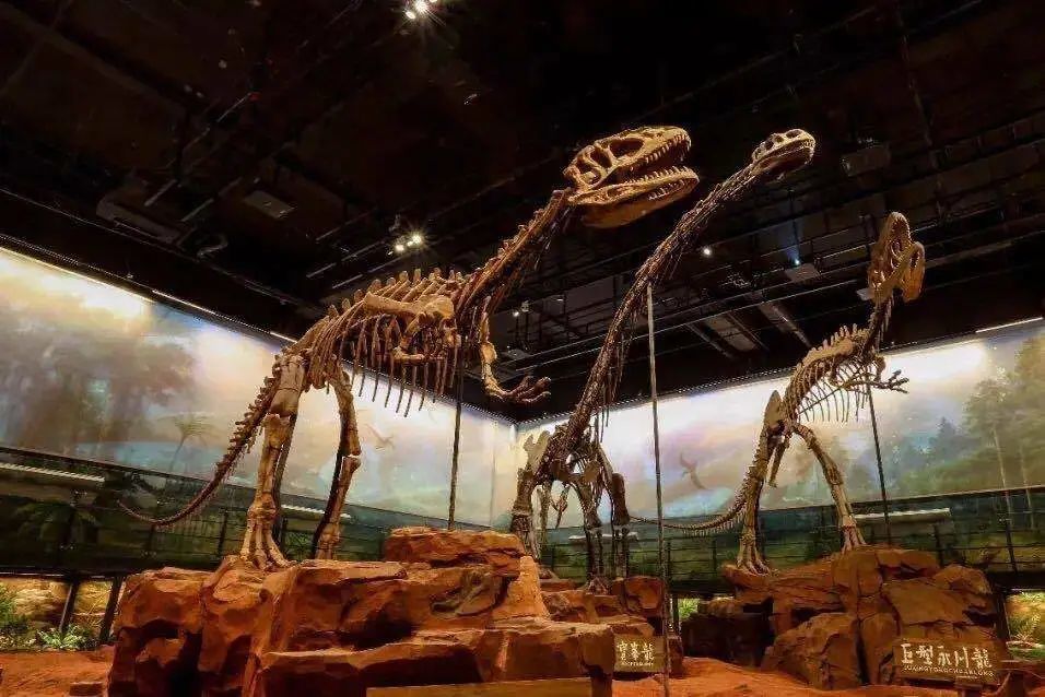 侏罗纪|不是霸王龙！侏罗纪真正的霸主在重庆，大部分重庆人都不知道