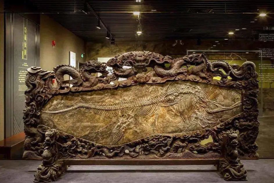 侏罗纪|不是霸王龙！侏罗纪真正的霸主在重庆，大部分重庆人都不知道