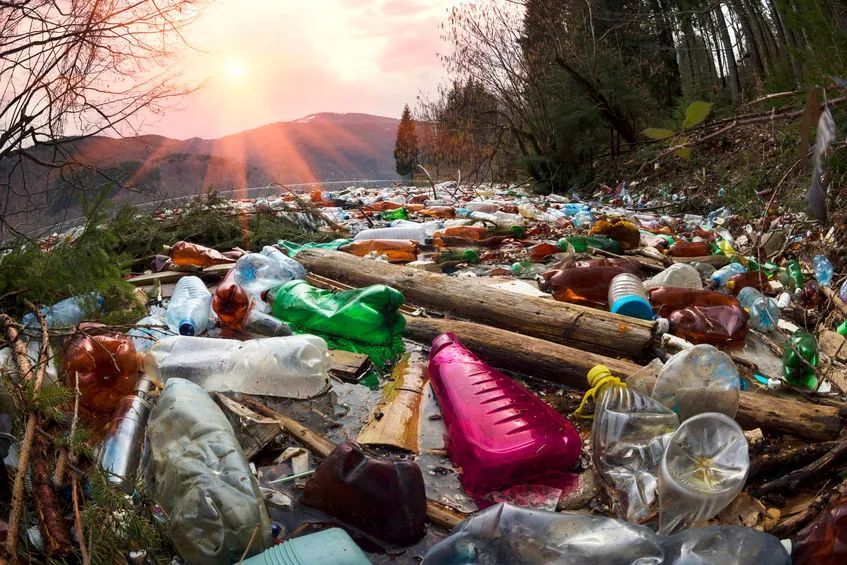 微塑料|你爷爷吃过的盐，会比你“吃”过的塑料还多吗？