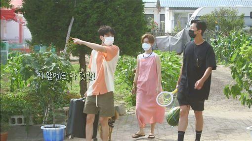 朴叙俊|朴叙俊出演《暑假》引热议！崔宇植对其撒娇：我就喜欢和哥一起睡