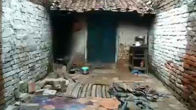 印度_社会|悲惨！群猴猛烈摇晃院墙致其坍塌，印度一家五口熟睡中直接被砸死