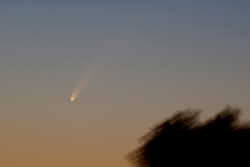 彗星|新智彗星还将返场，2020年的第一颗肉眼可见的彗星，终于等到你