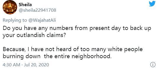 瓦加哈特·阿里|《纽约时报》作者争议言论被骂：白人宁可烧房子也不租有色人种