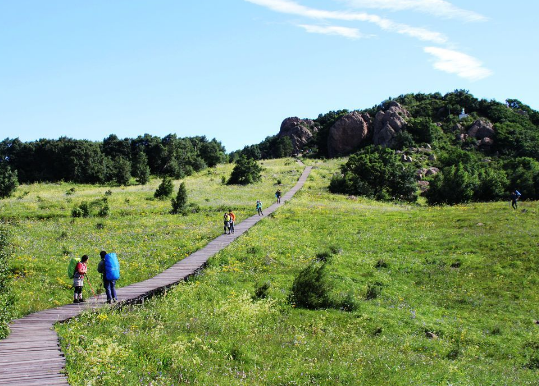 北京|不出北京就能玩，去这些地方就对了！