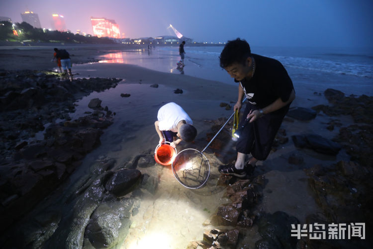 下海捞鱼螃蟹海蛎子青岛夏夜的赶海人