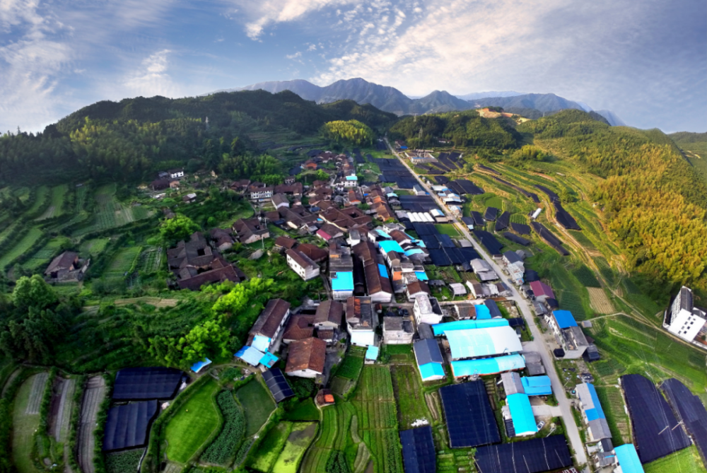 人类高质量纳凉方式龙泉这个避世小村自带空调模式走起