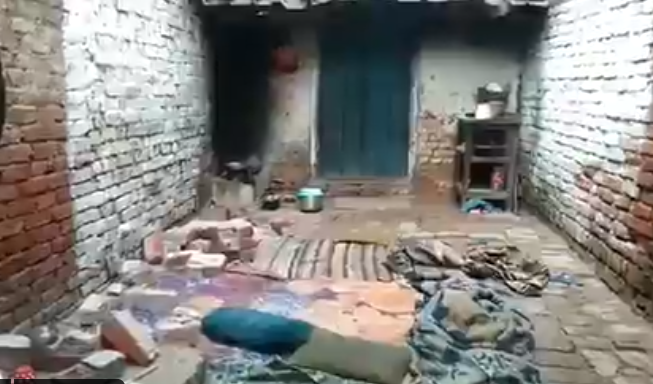 猴子|印度一群猴子狠劲推倒一堵墙，砸死在墙角睡觉的母子五人