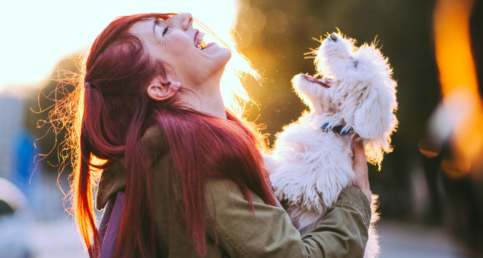 人和宠物存在着啥关系有多少人对宠物比对父母还好呀