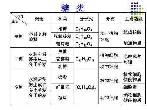 向日葵|向日葵既没有眼睛，更没有肌肉关节，为什么它却能朝着太阳转？