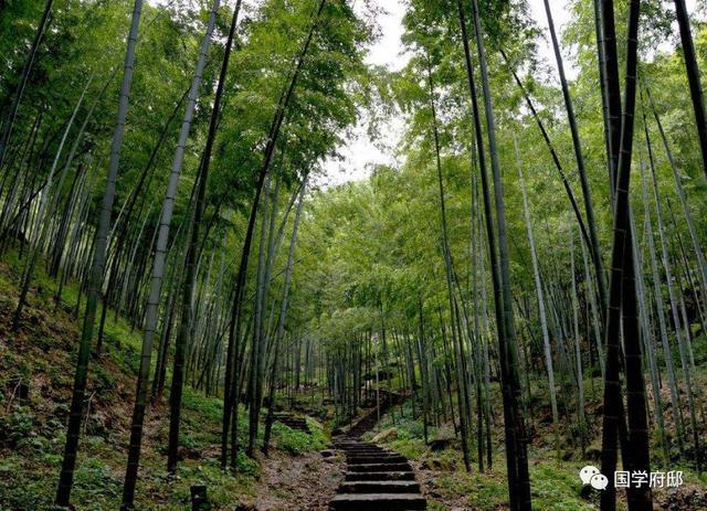 白朴|元代诗人笔下的夏日诗词曲，美到心醉