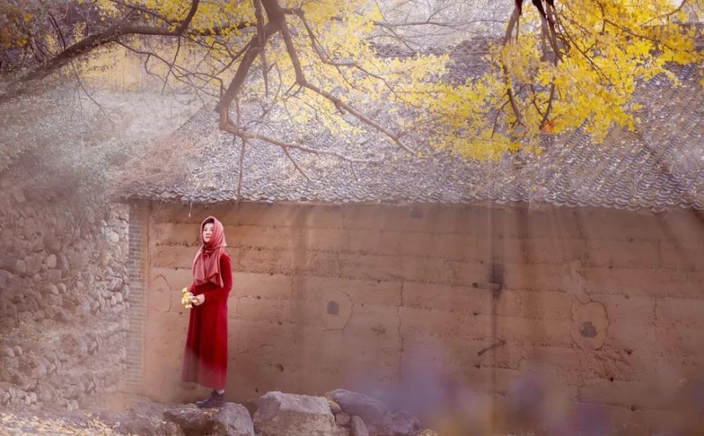 道士|争什么，气什么，愁什么？看完此文醒悟了